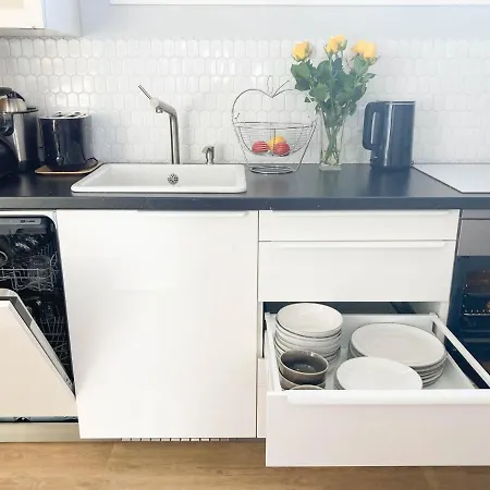 Mariposa San Agustín